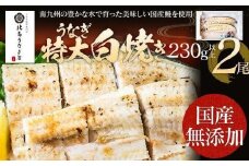 【丑の日2回目にお届け】うなぎの特大白焼き（2尾）230g以上×2尾　AE05-u2