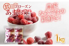 フローズンあまおう1kg(500g×2袋)　BD10