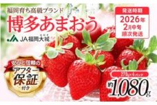 【アフター保証】博多あまおう 福岡県JAグループのブランド あまおういちご 1080g（約270g×4パック）JA福岡大城【2026年2月中旬から順次発送】AG010