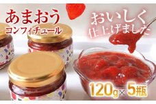 あまおうコンフィチュール120ｇ×5瓶　BD12