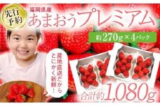 【先行予約/2026年】福岡県産あまおう 約270ｇ×4パック《2026年3~4月発送》 CL002