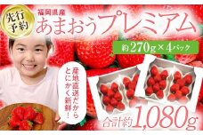 【先行予約/2026年】福岡県産あまおう 約270ｇ×4パック《2026年3~4月発送》 CL002