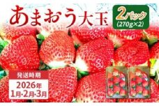 期間限定 いちご あまおう 苺 イチゴ 540g あまおう（大玉）、2パック（270g/パック）【2026年1月〜3月順次発送】 フルーツ 果物 くだもの 大玉 ※北海道・沖縄・離島は配送不可 大木町産 おおきベリー CT003
