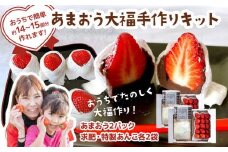 あまおう大福 手作りキット（2セット） 大福 和菓子 セット【2026年1月～4月にかけて順次出荷予定】餡子 あん お菓子 手作り 苺 いちご 大木町 池上農園 BD03