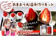 あまおう大福 手作りキット （1セット） 大福 和菓子 キット セット 【2026年1月～4月にかけて順次出荷予定】餡子 あん お菓子 手作り 苺 いちご 福岡県 大木町 池上農園 BD14