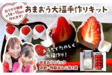 あまおう大福 手作りキット （1セット） 大福 和菓子 キット セット 【2026年1月～4月にかけて順次出荷予定】餡子 あん お菓子 手作り 苺 いちご 福岡県 大木町 池上農園 BD14