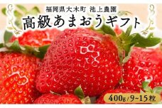 高級あまおうギフト (9～15粒) 400g BD015