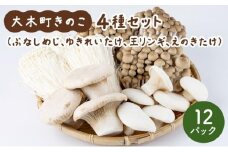 大木町のきのこセット(ぶなしめじ・ゆきれいたけ・王リンギ・えのきたけ各3パック)