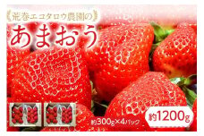 荒巻エコタロウ農園のあまおう約300g×4パック(約1200g)【2026年2月下旬以降順次出荷予定】BJ04