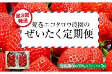 荒巻エコタロウ農園のぜいたく定期便※2026年1月～2月末にかけて3回出荷　BJ08