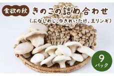 食欲の秋！きのこの詰め合わせ(ぶなしめじ・ゆきれいたけ・王リンギ各3パック)AT16