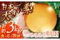 愛宕梨3kg。なし 果物 大きい