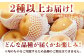 梨 なし ナシ 食べ比べ 5kg