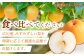 梨 なし ナシ 食べ比べ 5kg