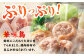 水炊き 鍋 鶏肉 華味鳥 福岡 ご当地 セット