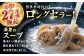 水炊き 鍋 鶏肉 華味鳥 福岡 ご当地 セット