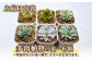 多肉植物の苗。6個。観葉植物 インテリア