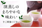 お茶 緑茶 ティーバッグ 八女茶 人気