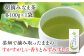 お茶 緑茶 ティーバッグ 八女茶 人気