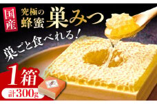 国産巣みつ 300g 蜂蜜 はちみつ ハチミツ コムハニー 極上はちみつ 濃厚ハチミツ 国産蜂蜜 広川町 / 株式会社九州蜂の子本舗 [AFAI004] はちみつ 蜂蜜 ハチミツ