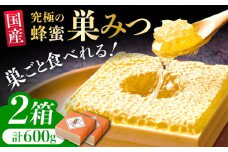 国産巣みつ 600g(300g×2個) 蜂蜜 はちみつ ハチミツ コムハニー 極上 濃厚  蜂蜜 グリークヨーグルト アサイーボウル パンケーキ ソフトクリーム オシャレ 人気 朝食 デザート 巣みつ 広川町 / 株式会社九州蜂の子本舗 [AFAI005]