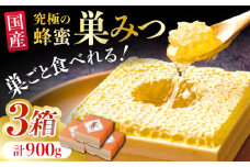 国産巣みつ 900g(300g×3個) 蜂蜜 はちみつ ハチミツ コムハニー 極上 濃厚  蜂蜜 グリークヨーグルト アサイーボウル パンケーキ ソフトクリーム オシャレ 人気 朝食 デザート 巣みつ 広川町 / 株式会社九州蜂の子本舗 [AFAI006]