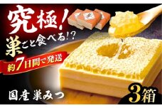 国産巣みつ 900g(300g×3個) 蜂蜜 はちみつ ハチミツ コムハニー 極上 濃厚  蜂蜜 グリークヨーグルト アサイーボウル パンケーキ ソフトクリーム オシャレ 人気 朝食 デザート 巣みつ スピード配送 広川町 / 株式会社九州蜂の子本舗 [AFAI006]
