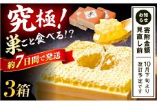 国産巣みつ 900g(300g×3個) 蜂蜜 はちみつ ハチミツ コムハニー 極上 濃厚  蜂蜜 グリークヨーグルト アサイーボウル パンケーキ ソフトクリーム オシャレ 人気 朝食 デザート 巣みつ スピード配送 広川町 / 株式会社九州蜂の子本舗 [AFAI006]
