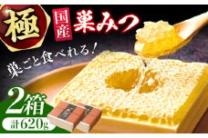 極巣みつ 620g (310g×2個) 蜂蜜 はちみつ ハチミツ すみつ 巣蜜 コムハニー 極上 濃厚 ギフト 広川町 / 株式会社九州蜂の子本舗 [AFAI008]