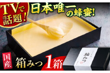 【先行受付 令和7年12月より発送】箱みつ 400g 蜂蜜 はちみつ ハチミツ 高級 濃厚 バター ハニー クリーム 箱蜜 蜂蜜 広川町 / 株式会社九州蜂の子本舗 [AFAI011]