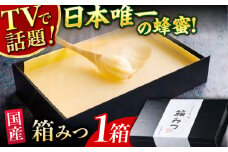【先行受付 令和7年12月より発送】箱みつ 400g 蜂蜜 はちみつ ハチミツ 高級 濃厚 バター ハニー クリーム 箱蜜 蜂蜜 広川町 / 株式会社九州蜂の子本舗 [AFAI011]