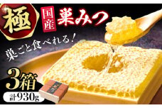 極巣みつ 930g (310g×3個) 蜂蜜 はちみつ ハチミツ すみつ 巣蜜 コムハニー 極上 濃厚 ギフト 広川町 / 株式会社九州蜂の子本舗 [AFAI009]