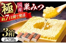 極巣みつ 930g (310g×3個) 蜂蜜 はちみつ ハチミツ すみつ 巣蜜 コムハニー 極上 濃厚 ギフト スピード配送 広川町 / 株式会社九州蜂の子本舗 [AFAI009]
