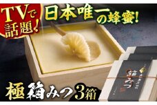 【先行受付 令和7年12月より発送】極箱みつ 3個セット 計1200g (400g×3個) 蜂蜜 はちみつ ハチミツ 高級 濃厚 バター ハニー クリーム 箱蜜 蜂蜜 広川町 / 株式会社九州蜂の子本舗 [AFAI015]