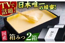 【先行受付 令和7年12月より発送】箱みつ 2個セット 合計800g (400g×2個) 蜂蜜 はちみつ ハチミツ 高級 濃厚 バター ハニー クリーム 箱蜜 蜂蜜 広川町 / 株式会社九州蜂の子本舗 [AFAI016]