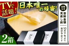【先行受付 令和7年12月より発送】箱みつ 2個セット 合計800g (400g×2個) 蜂蜜 はちみつ ハチミツ 高級 濃厚 バター ハニー クリーム 箱蜜 蜂蜜 広川町 / 株式会社九州蜂の子本舗 [AFAI016]