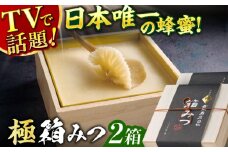 【先行受付 令和7年12月より発送】極箱みつ 2個セット 計800g (400g×2個) 蜂蜜 はちみつ ハチミツ 高級 濃厚 バター ハニー クリーム 箱蜜 蜂蜜 広川町 / 株式会社九州蜂の子本舗 [AFAI014]