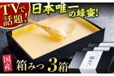 【先行受付 令和7年12月より発送】箱みつ 3個セット 合計1200g (400g×3個) 蜂蜜 はちみつ ハチミツ 高級 濃厚 バター ハニー クリーム 箱蜜 蜂蜜 広川町 / 株式会社九州蜂の子本舗 [AFAI017]
