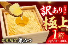 【50個限定/訳あり】国産巣みつ 約270～300g未満 はちみつ ハチミツ コムハニー 蜂蜜 ジャム デザート 新鮮 純粋 生はちみつ 健康 濃縮蜂蜜 国内加工 ギフト 贈答 プレゼント  広川町 / 株式会社九州蜂の子本舗 [AFAI039]