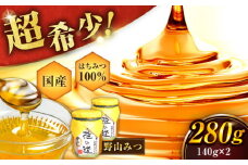 野山みつ 2本セット 計280g（140g×2） はちみつ ハチミツ ハニー 濃厚 ホットケーキ ヨーグルト 広川町 / 株式会社九州蜂の子本舗 [AFAI024]