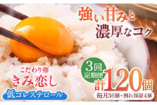 【3回定期便】きみ恋し 箱入り 40個（36個+割れ保証4個）×3ヶ月　総計120個 たまご 卵 玉子 タマゴ 鶏卵 濃厚 玉子焼き 卵焼き オムレツ たまごかけご飯 冷蔵 広川町 / 伊藤養鶏場 [AFAJ001]