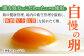 きみ恋し 60個（55個+割れ保証5個） 箱入り たまご 鶏卵