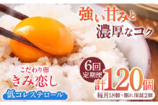 【6回定期便】きみ恋し 箱入り 20個（18個+割れ保証2個）×6ヶ月　総計120個 たまご 卵 玉子 タマゴ 鶏卵 濃厚 玉子焼き 卵焼き オムレツ たまごかけご飯 冷蔵 広川町 / 伊藤養鶏場 [AFAJ006]