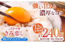 【12回定期便】きみ恋し 箱入り 20個（18個+割れ保証2個）×12ヶ月　総計240個 たまご 卵 玉子 タマゴ 鶏卵 濃厚 玉子焼き 卵焼き オムレツ たまごかけご飯 冷蔵 広川町 / 伊藤養鶏場 [AFAJ007]