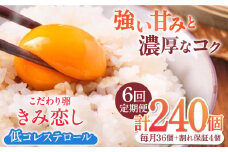 【6回定期便】きみ恋し 箱入り 40個（36個+割れ保証4個）×6ヶ月　総計240個 たまご 卵 玉子 タマゴ 鶏卵 濃厚 玉子焼き 卵焼き オムレツ たまごかけご飯 冷蔵 広川町 / 伊藤養鶏場 [AFAJ008]