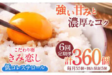 【6回定期便】きみ恋し 箱入り 60個（55個+割れ保証5個）×6ヶ月 総計360個 たまご 卵 玉子 タマゴ 鶏卵 濃厚 玉子焼き 卵焼き オムレツ たまごかけご飯 冷蔵 広川町 / 伊藤養鶏場 [AFAJ010]