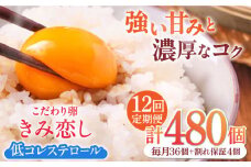 【12回定期便】きみ恋し 箱入り 40個（36個+割れ保証4個）×12ヶ月　総計480個 たまご 卵 玉子 タマゴ 鶏卵 濃厚 玉子焼き 卵焼き オムレツ たまごかけご飯 冷蔵 広川町 / 伊藤養鶏場 [AFAJ009]