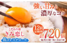【12回定期便】きみ恋し 箱入り 60個（55個+割れ保証5個）×12ヶ月　総計720個 たまご 卵 玉子 タマゴ 鶏卵 濃厚 玉子焼き 卵焼き オムレツ たまごかけご飯 冷蔵 広川町 / 伊藤養鶏場 [AFAJ011]