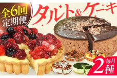 【全6回定期便】12種のケーキ・タルト スイーツ定期便 けーき ベリー 抹茶 モンブラン 苺 ザッハトルテ クリスマス パーティ デコレーション 広川町 / イートウェル株式会社 [AFAK034]