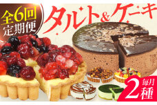 【全6回定期便】12種のケーキ・タルト スイーツ定期便 けーき ベリー 抹茶 モンブラン 苺 ザッハトルテ クリスマス パーティ デコレーション 広川町 / イートウェル株式会社 [AFAK034]